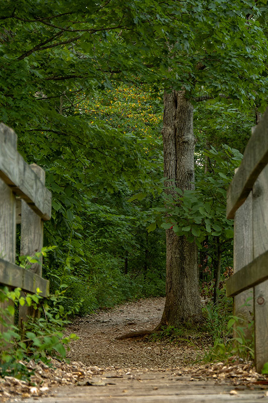 River_Scene_Trail_8882.jpg