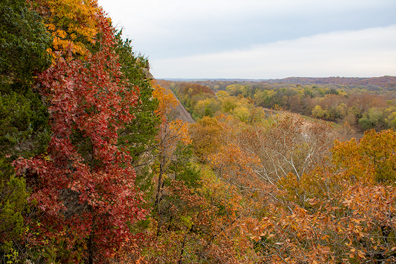 Fall_Colors_1753.jpg