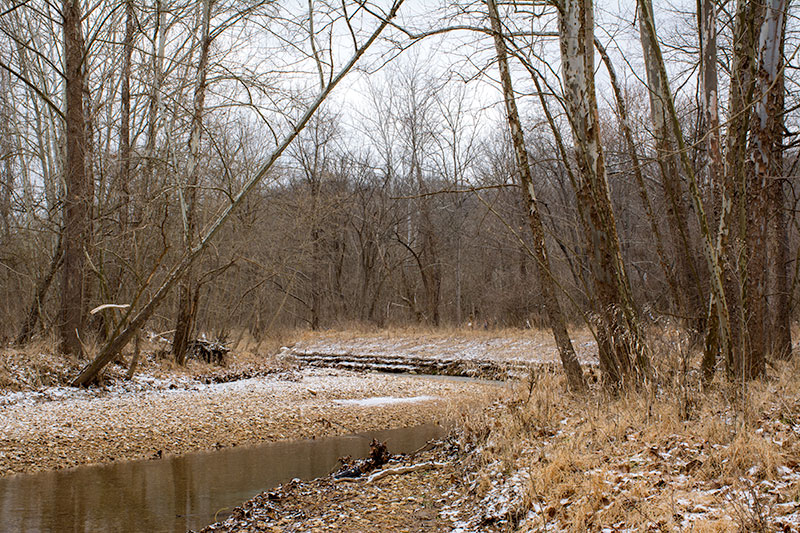 Snowy_Kiefer_Creek_2566.jpg