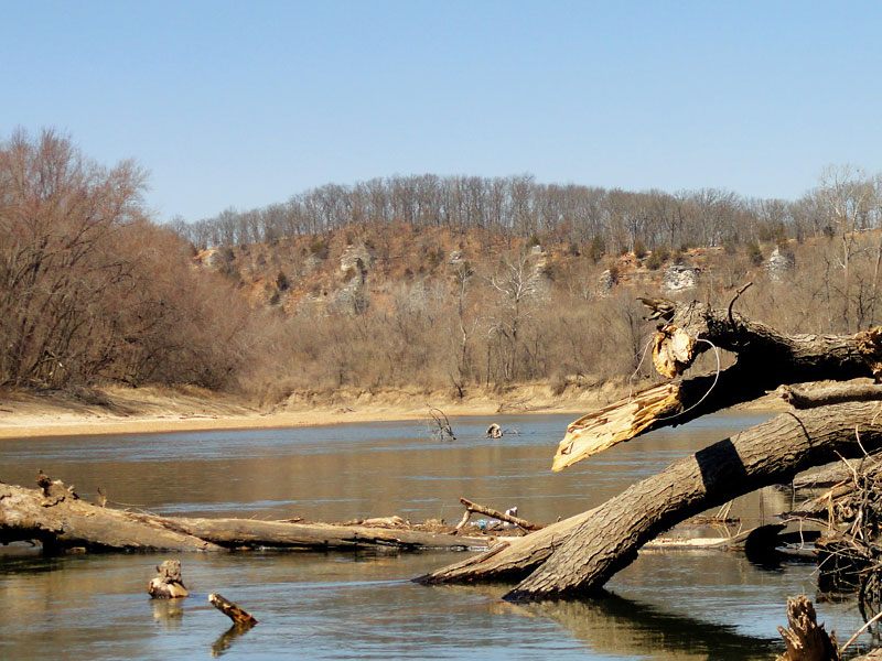 spring800.jpg