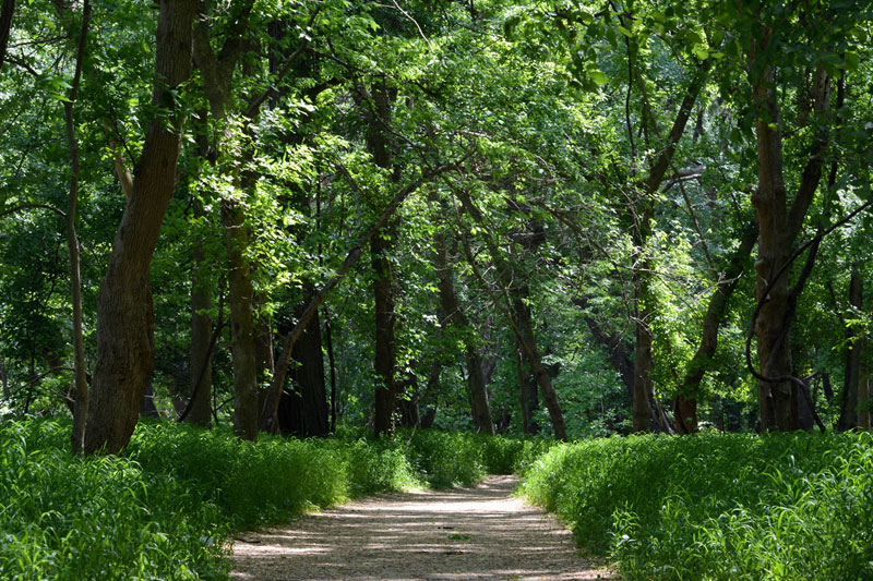 River_Scene_Trail.jpg