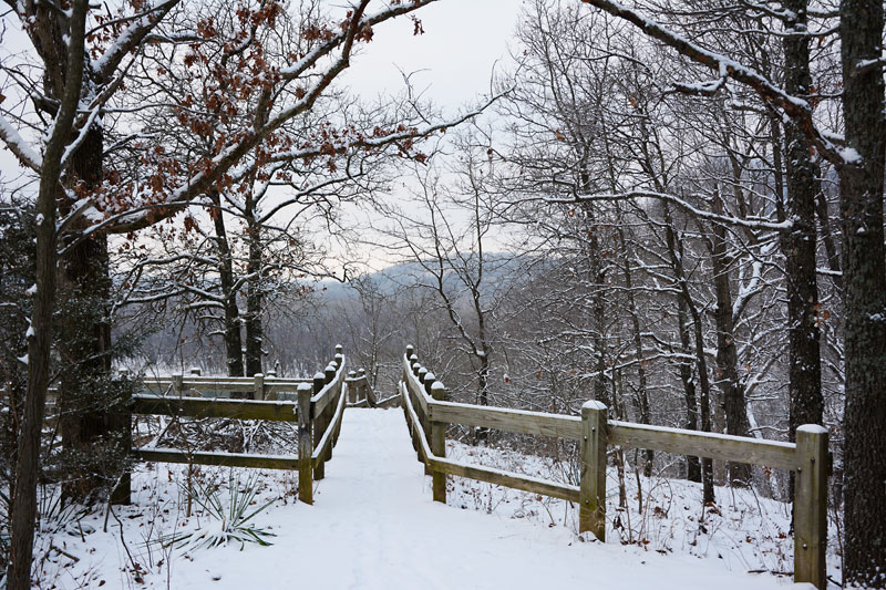 Bluff_Stairs_2456.jpg